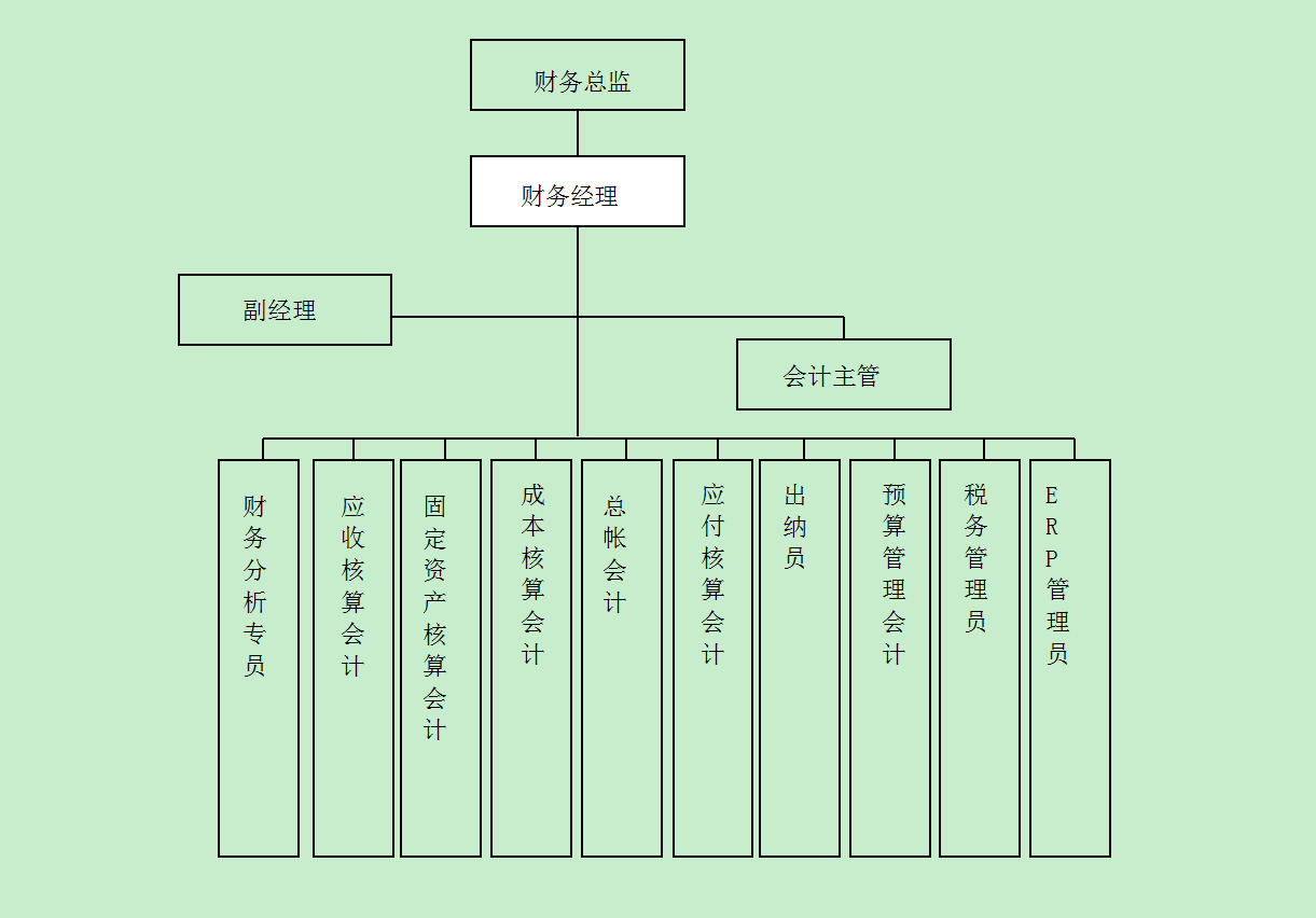 公司的財務(wù)部組織結(jié)構(gòu)圖