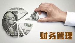 XXX紙業(yè)有限公司財(cái)務(wù)管理制度