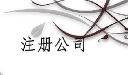 注冊(cè)公司為什么推薦找代理注冊(cè)公司的機(jī)構(gòu)呢？