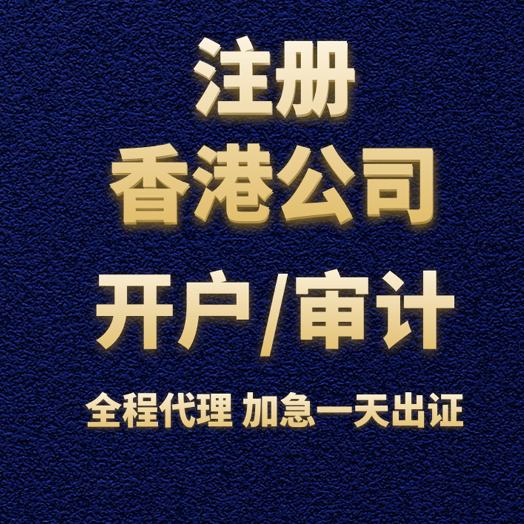 注冊(cè)香港公司開(kāi)戶(hù)/審計(jì).png