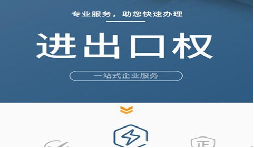 進出口權(quán)申請辦理流程：簡單易懂的指南